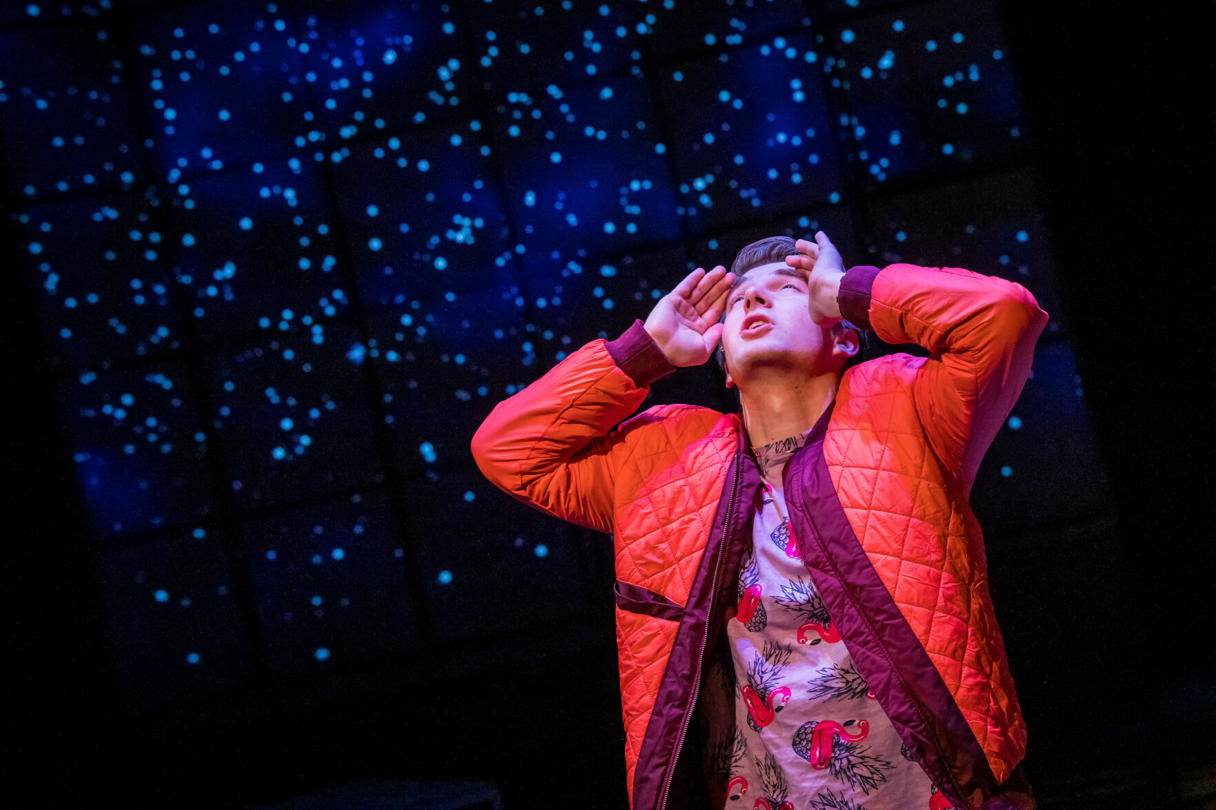 Curious Incident of the Dog in the Night-Time (copy)